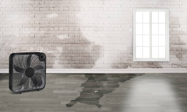  Levittown, NY Water damage restoration Pros