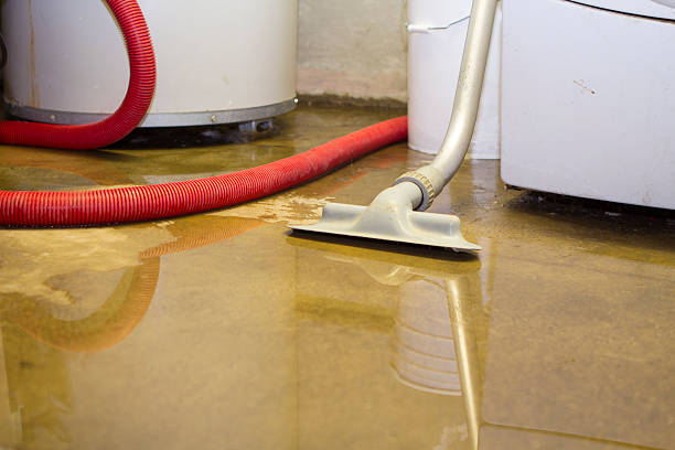 Best Water damage contractors near me  in Levittown, NY