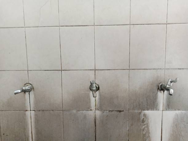 Best Flooded house restoration  in Levittown, NY